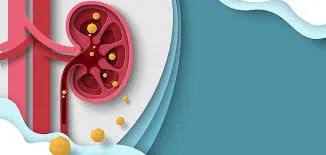Prevent Kidney Stones: Expert Tips from Lopmudra Hospital Urology Specialists