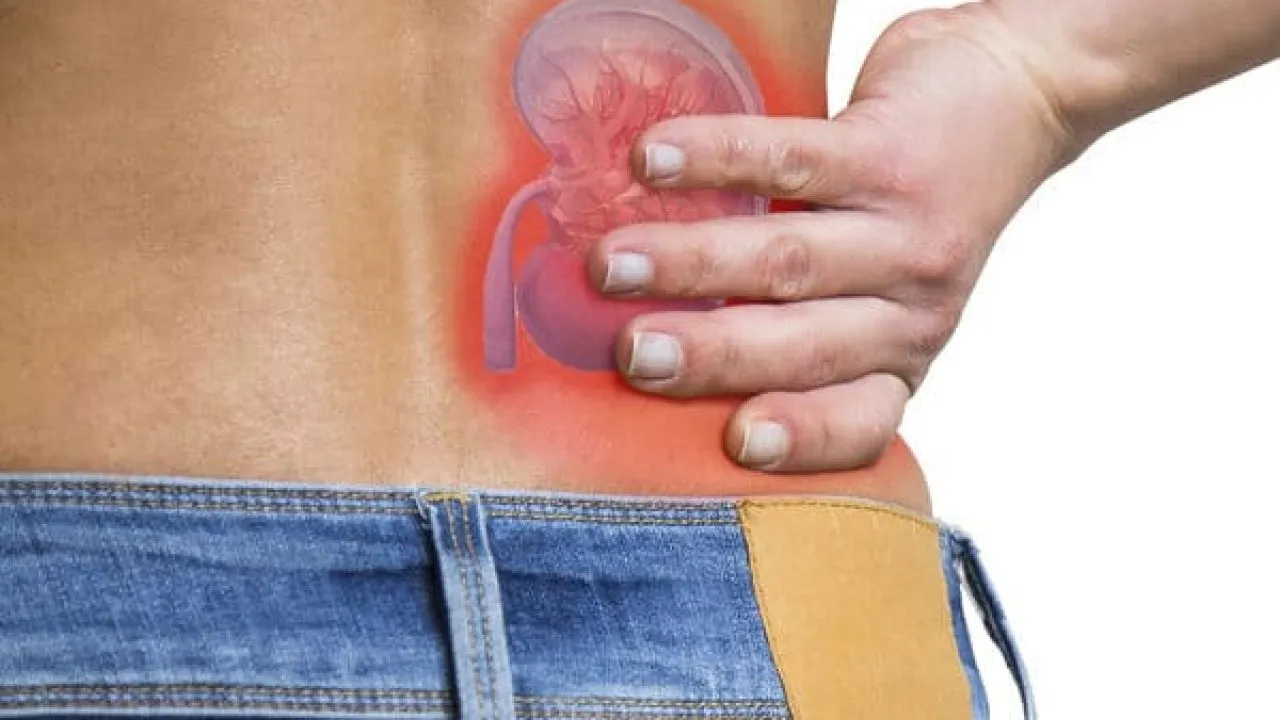Kidney Stone Pain Relief at Lopmudra Hospital | Expert Urology Care