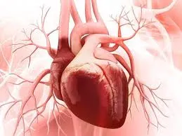 Understanding Congenital Heart Disease: A Comprehensive Guide by Lopmudra Hospital