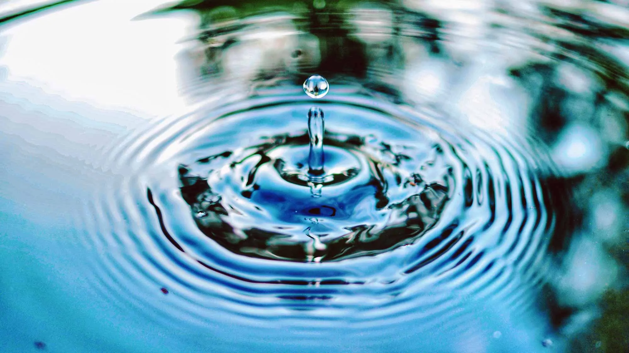 Hydration’s Vital Role in Human Health: Insights from Lopmudra Hospital Experts