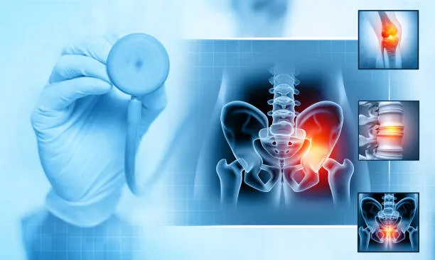 Comprehensive Orthopedic Care: What Parts of the Body Do Specialist Doctors Treat?
