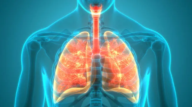 COPD Lung Care: Expert Tips from Lopmudra Hospital Specialists
