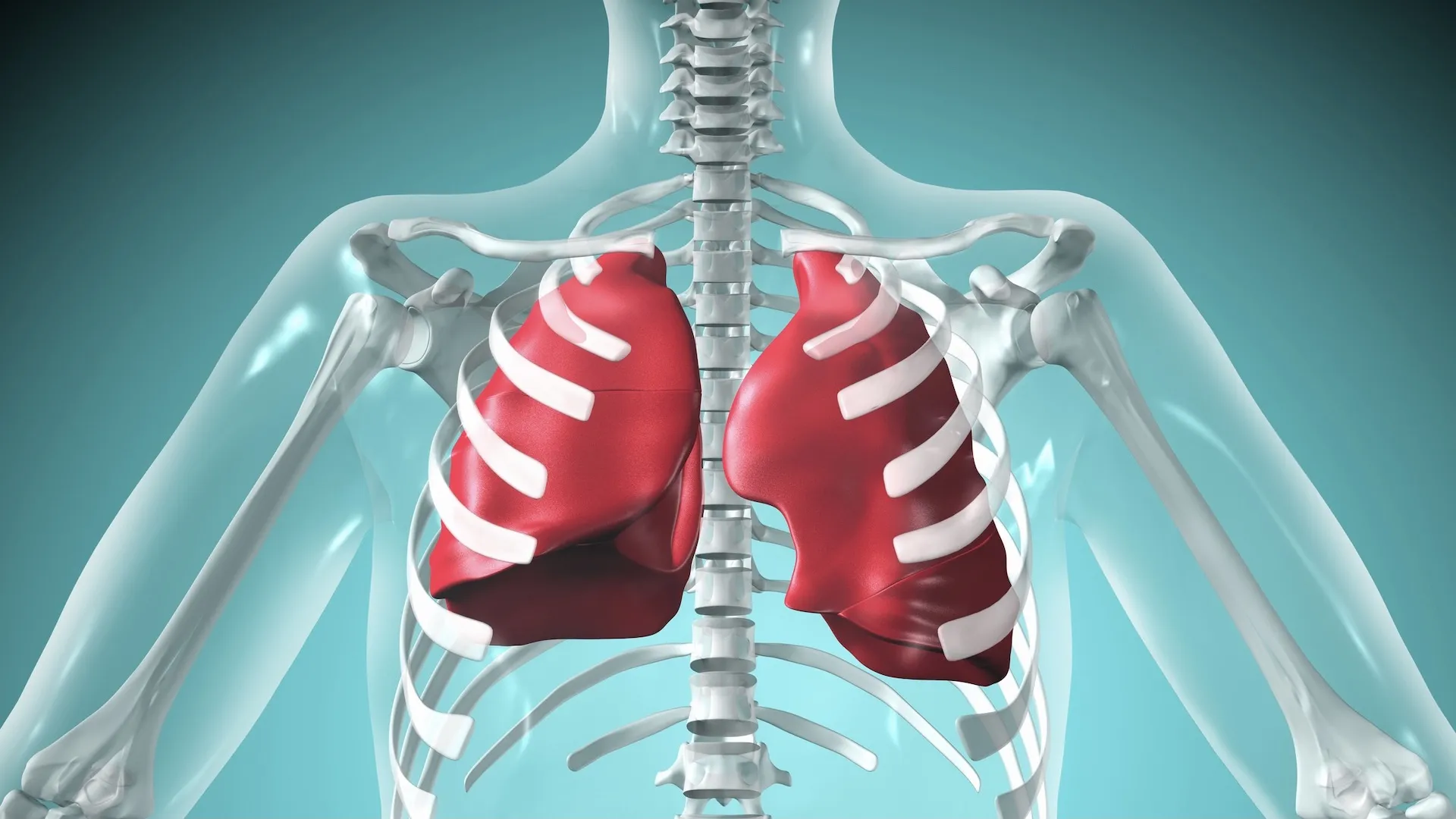 Understanding 15% Lung Function: Causes, Symptoms, and Treatment Options at Lopmudra Hospital
