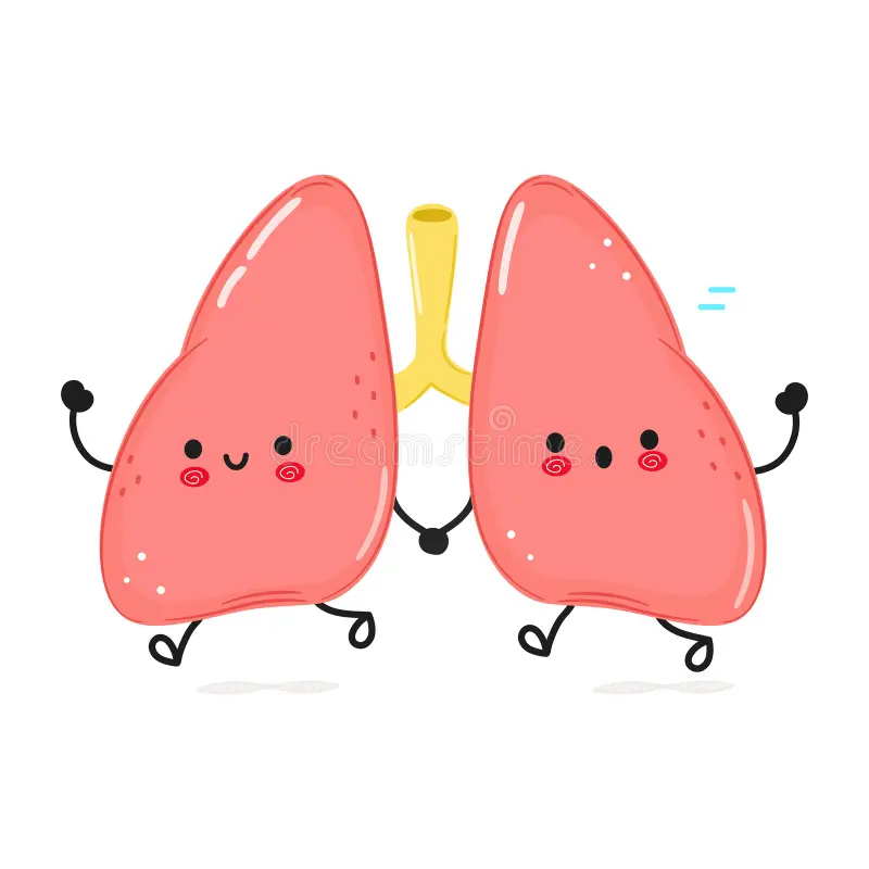 Improving Lung Capacity: How Running Impacts Your Respiratory Health | Lopmudra Hospital